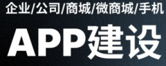 APP开发/软件开发/物联网开发/个性化定制