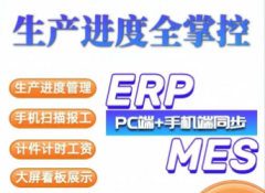wms系统，mes系统等软件定制开发
